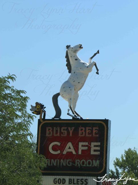 Busy Bee Cafe Montana